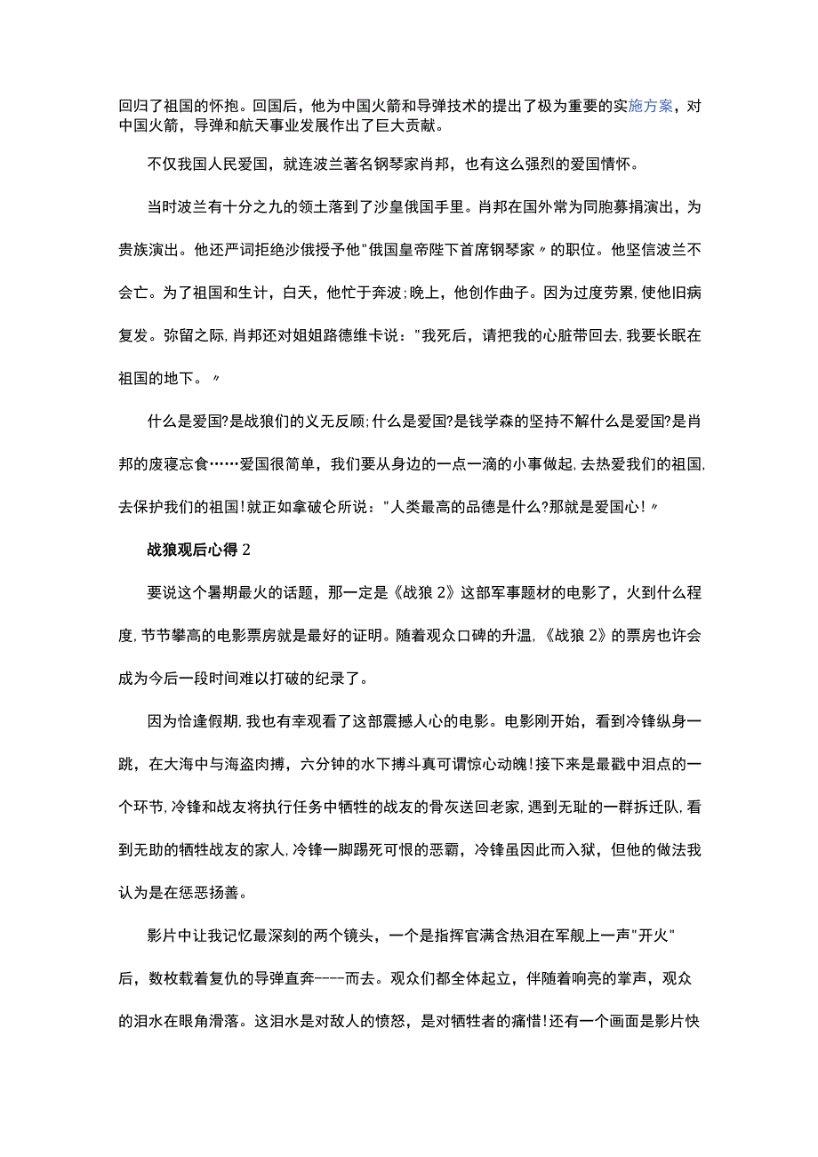 战狼观后心得精选5篇700字.docx_第2页