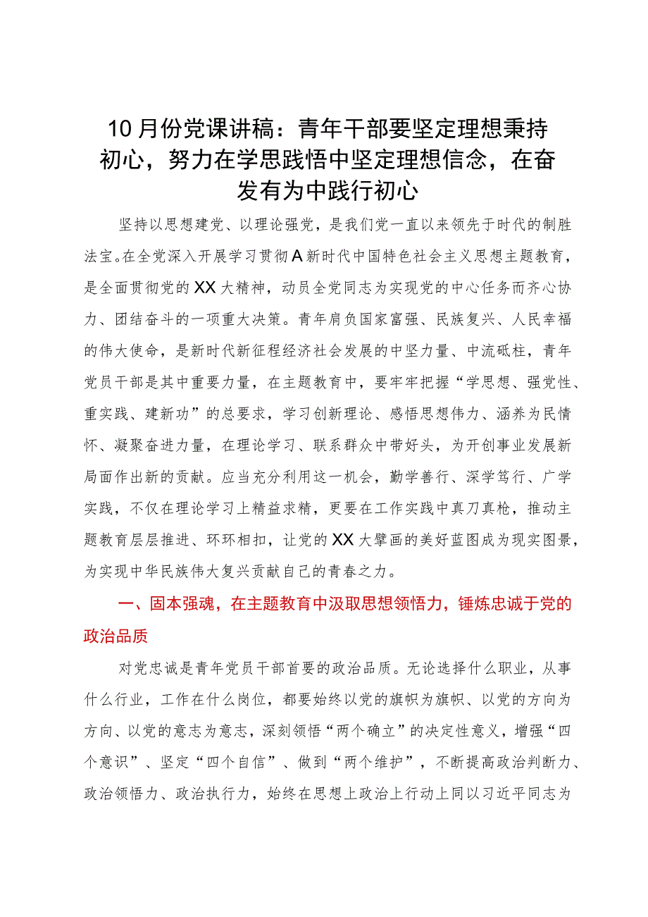 党课讲稿：青年干部要坚定理想秉持初心 努力在学思践悟中坚定理想信念 在奋发有为中践行初心.docx_第1页