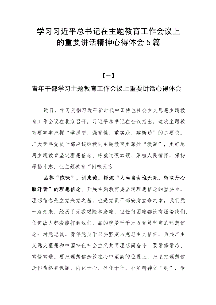 2023年下半年党员领导干部青年学习主题教育工作会议上重要讲话心得体会研讨发言5篇.docx_第1页