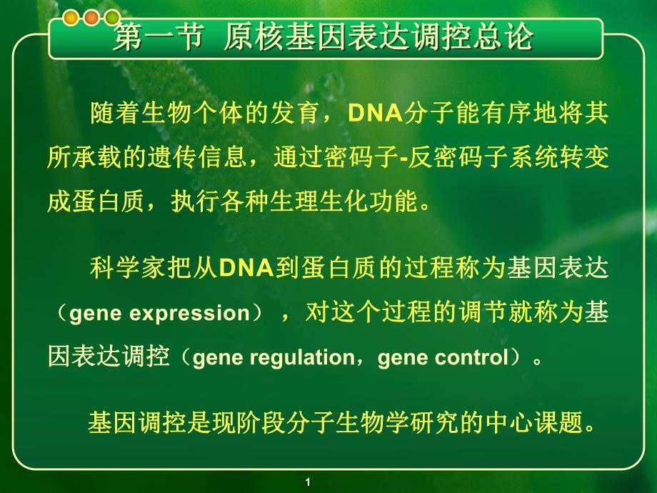 第七章基因的表达与调控——原核基因表达调控模式.ppt_第1页