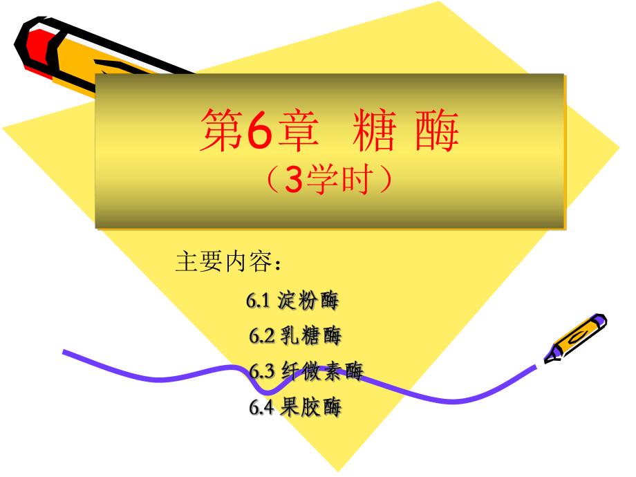 第6章糖酶3学时名师编辑PPT课件.ppt_第1页