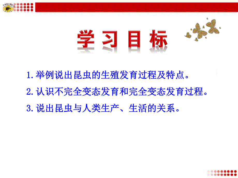 第一节昆虫的生殖和发育.ppt_第3页