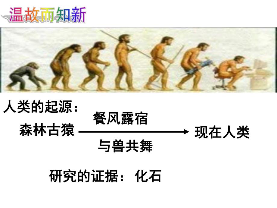 第一节地球上生命的起源.ppt_第3页