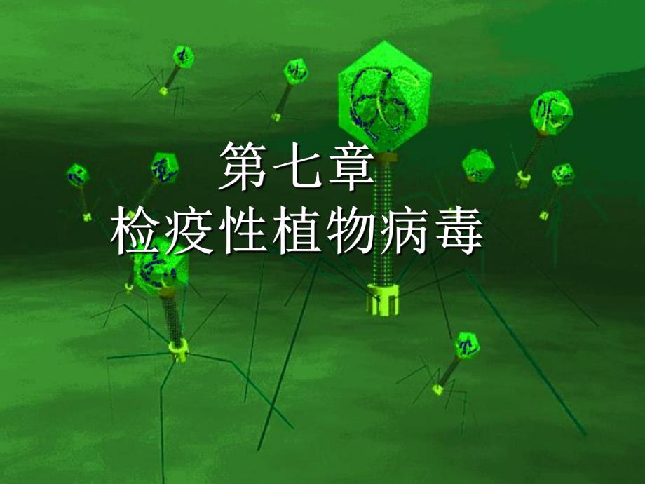 第七章检疫性植物病毒名师编辑PPT课件.ppt_第1页