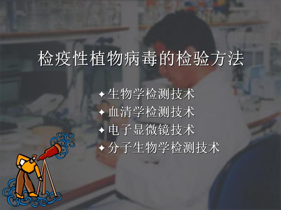 第七章检疫性植物病毒名师编辑PPT课件.ppt_第3页