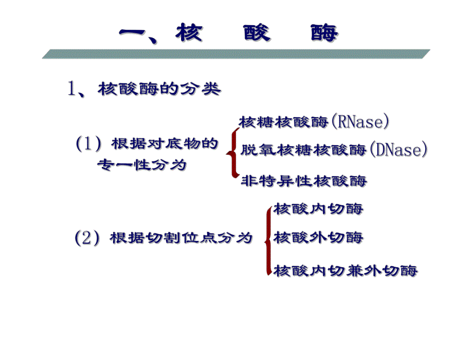 第一节核酸的酶促降解名师编辑PPT课件.ppt_第3页