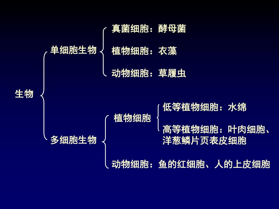 第一部分走进细胞名师编辑PPT课件.ppt_第2页