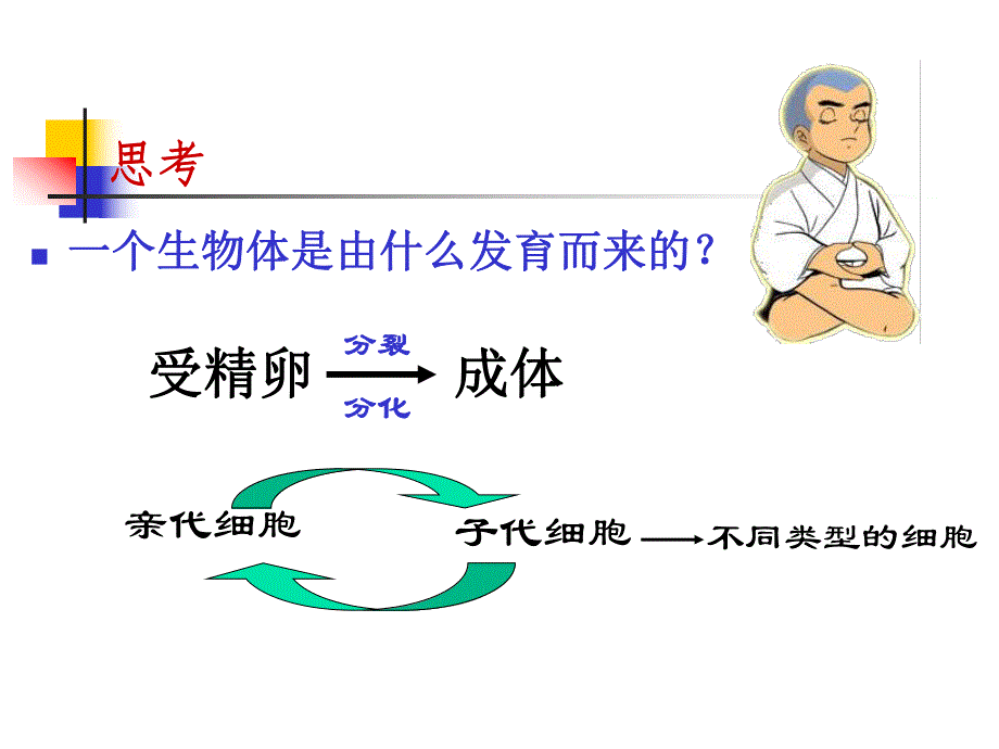 第一细胞的增殖名师编辑PPT课件.ppt_第2页