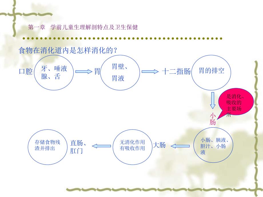 第一部分学前儿童生理解剖特点及卫生保健教学课件名师编辑PPT课件.ppt_第2页