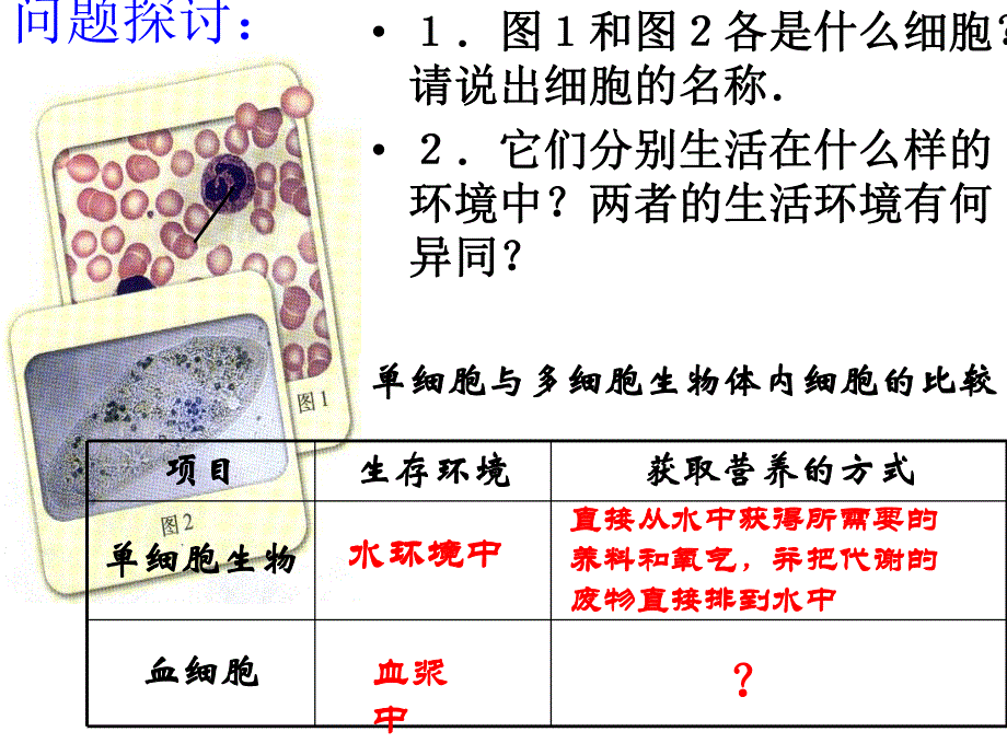 第一部分细胞生活的环境教学课件名师编辑PPT课件.ppt_第2页