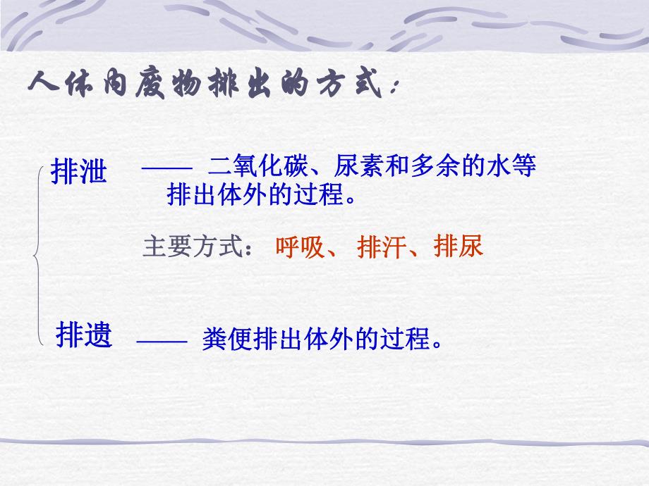 第一节尿的形成与排出名师编辑PPT课件.ppt_第2页