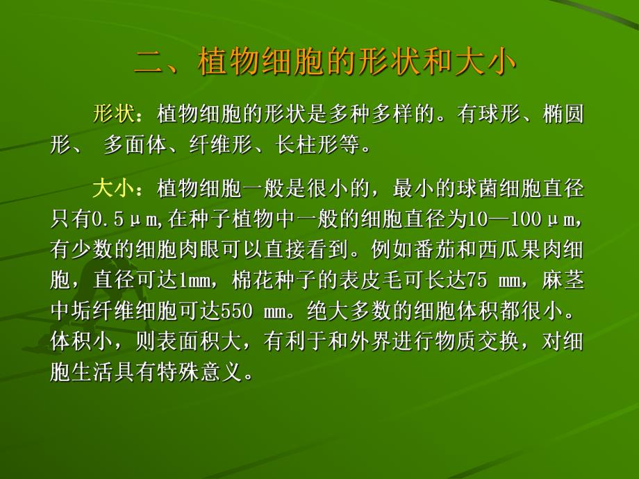 第一节植物的细胞名师编辑PPT课件.ppt_第3页