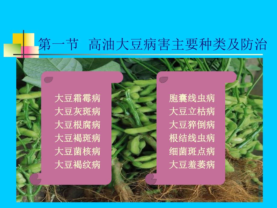 第一节高油大豆病害主要种类及防治名师编辑PPT课件.ppt_第2页