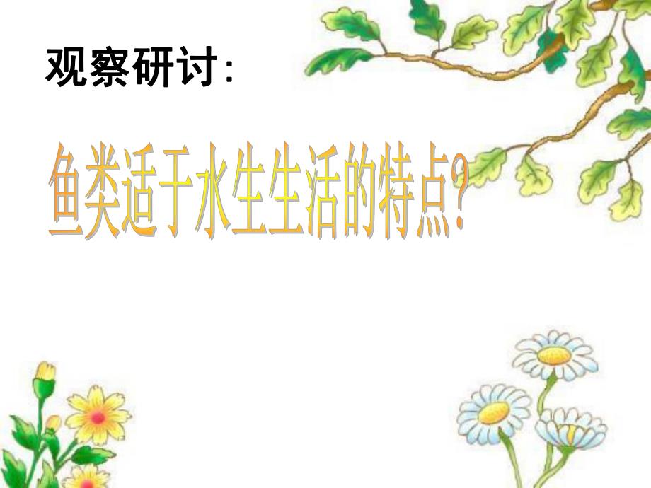 第一节动物的主要类群鱼类名师编辑PPT课件.ppt_第3页