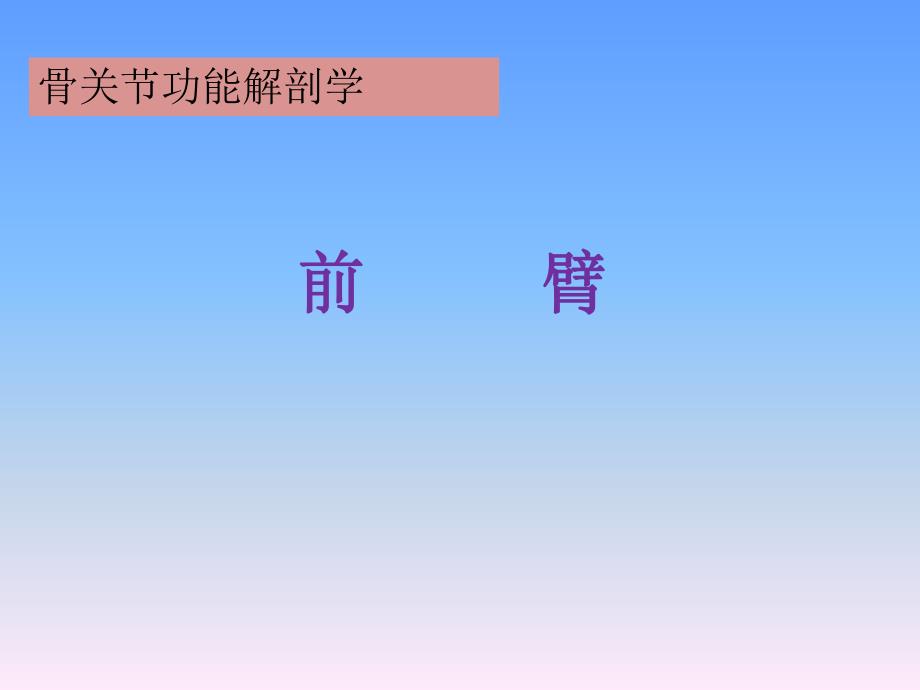 前臂功能解剖.ppt_第1页