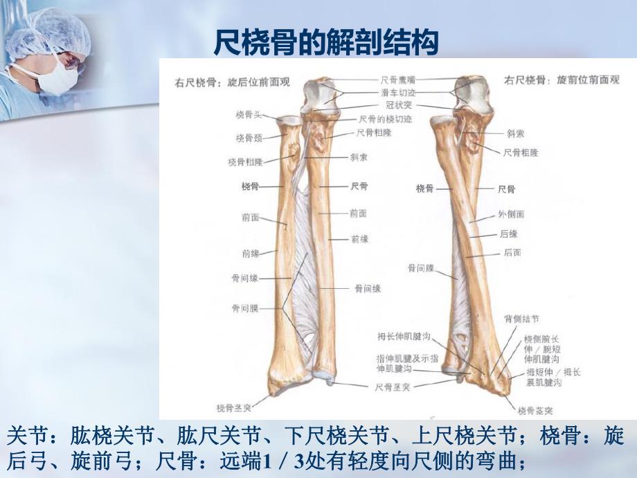 尺桡骨干双骨折.ppt_第3页