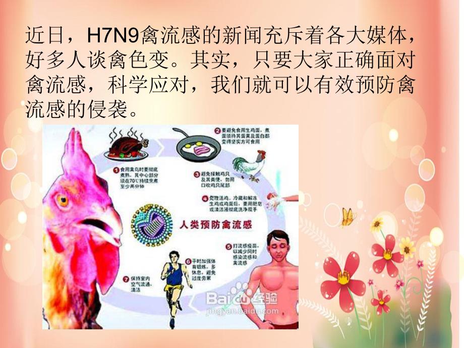 H7N9禽流感的预防.ppt_第2页