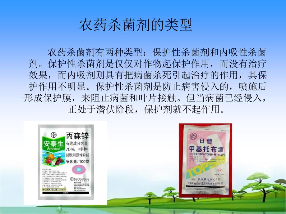 绿色木霉菌.ppt_第3页