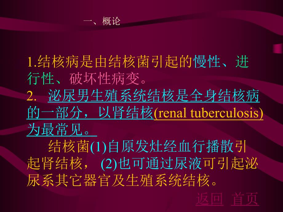 泌尿系结核[优质文档].ppt_第2页