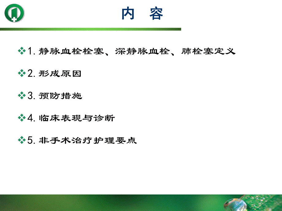 深静脉血栓的预防.ppt_第2页