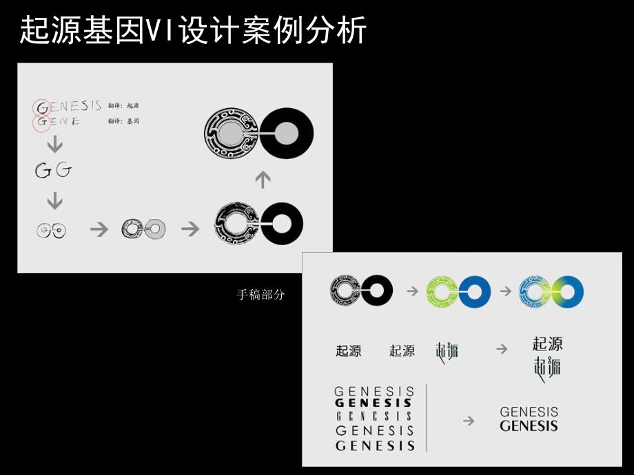 起源基因vi设计案例分析.ppt_第2页