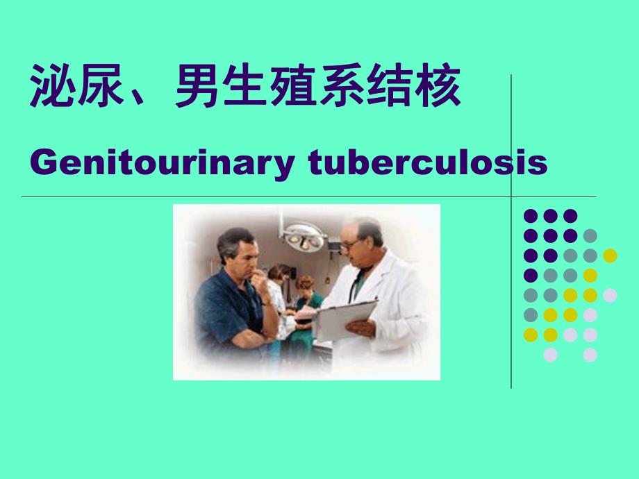 泌尿男生殖系结核（PPT 精品） .ppt_第1页