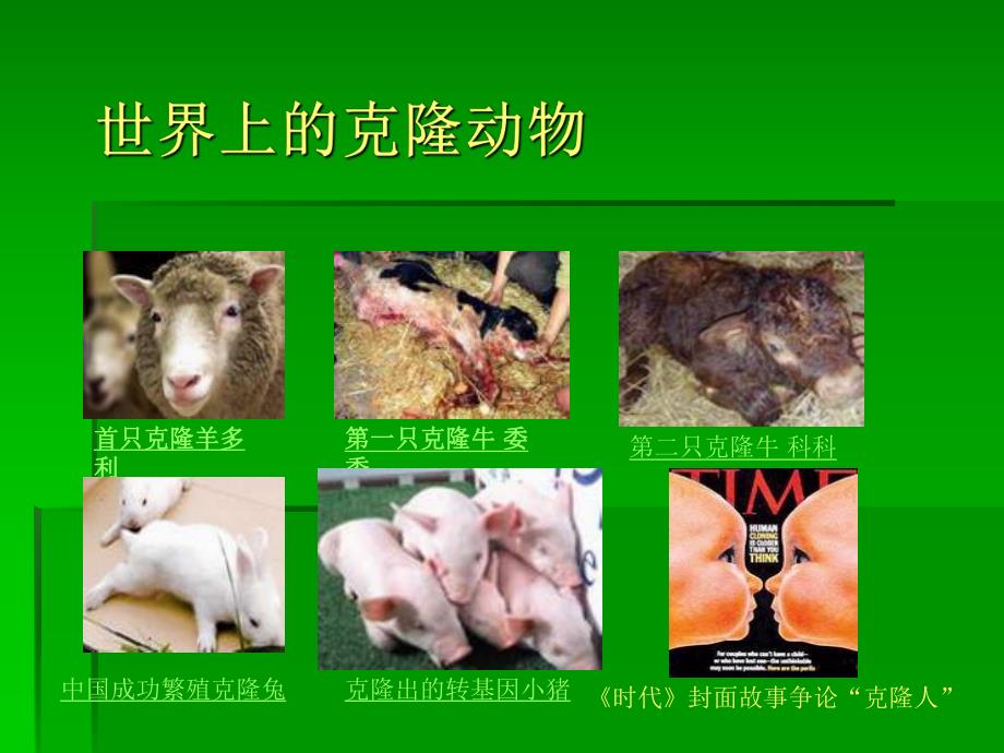 克隆人的利与弊.ppt.ppt_第2页