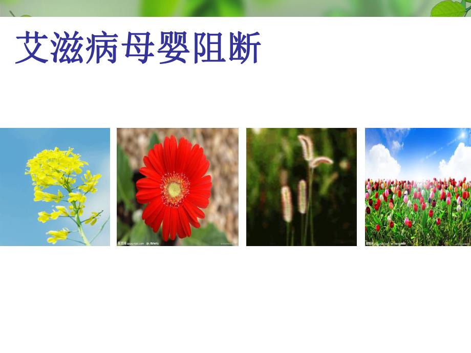 1—艾滋病母婴阻断.ppt_第1页