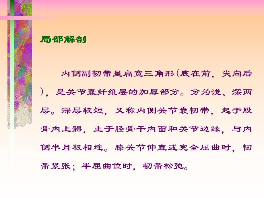 常见膝关节疾病的诊断及治疗.ppt_第3页