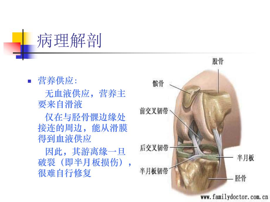 关节镜下半月板损伤缝合术后的护理.ppt_第3页