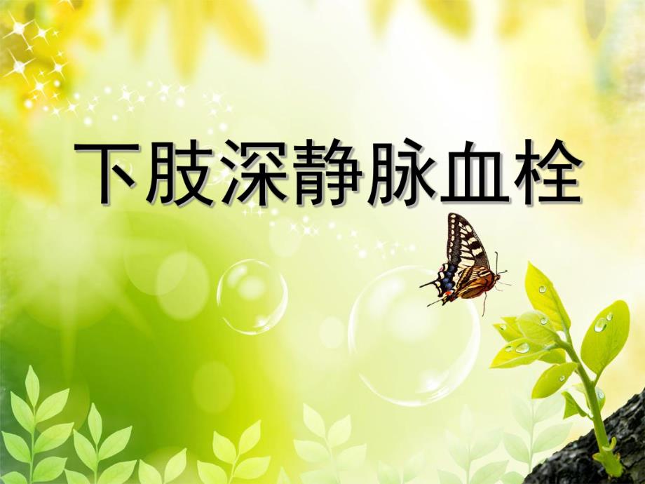 下肢深静脉血栓幻灯.ppt.ppt_第1页