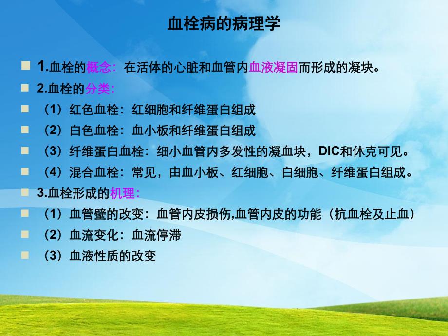 下肢深静脉血栓幻灯.ppt.ppt_第2页