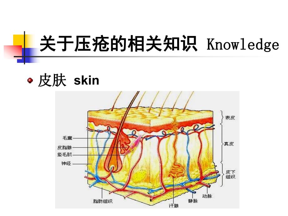 手术患者的压疮预防.ppt_第3页