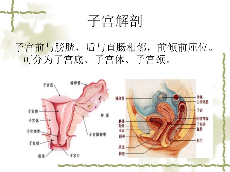 手术配合教学课件腹宫.ppt_第2页