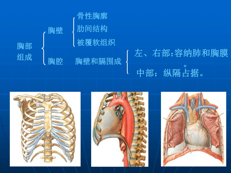 创伤性血气胸的急救与护理.ppt.ppt.ppt_第3页