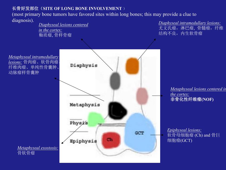 非骨化性纤维瘤.ppt_第3页