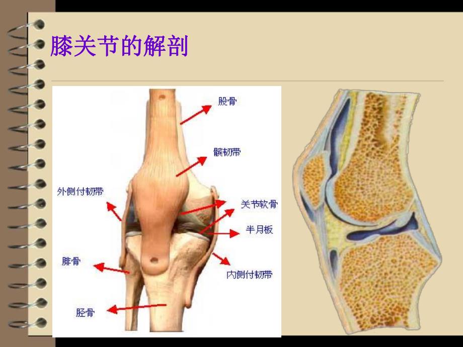 人工全膝关节置换术后护理..ppt_第3页