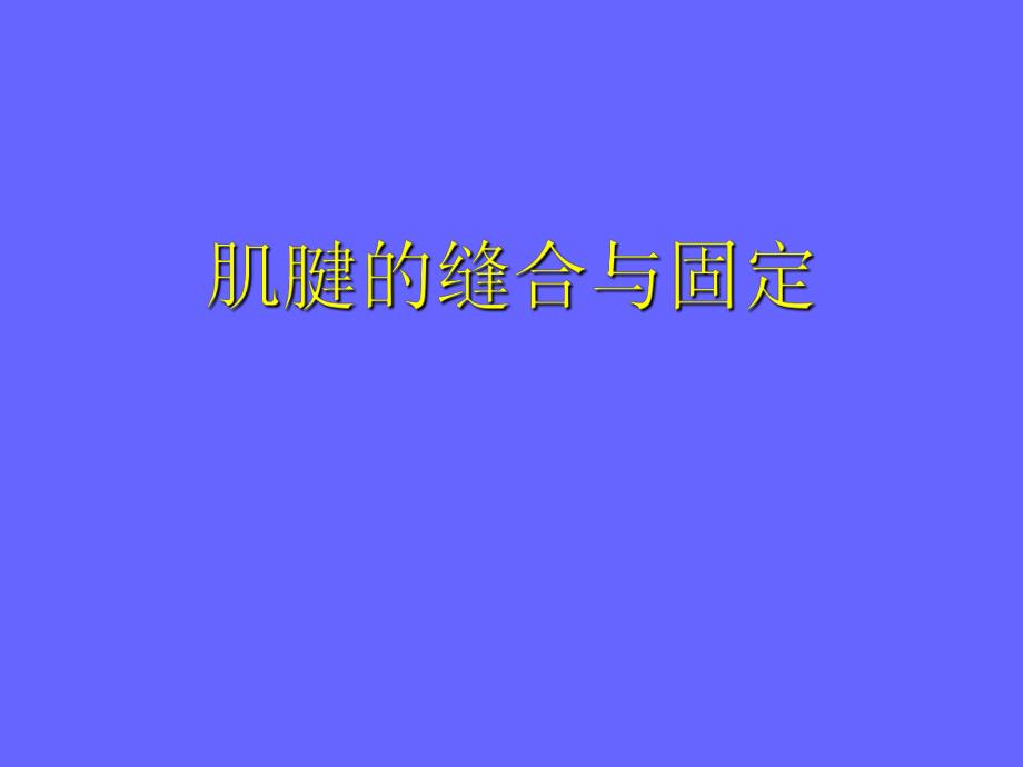 肌腱缝合技术.ppt_第1页