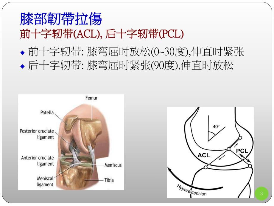 膝关节评估917.ppt_第3页