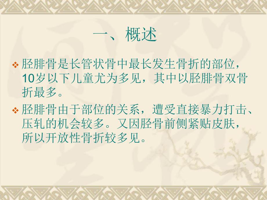 胫腓骨骨折.ppt_第2页