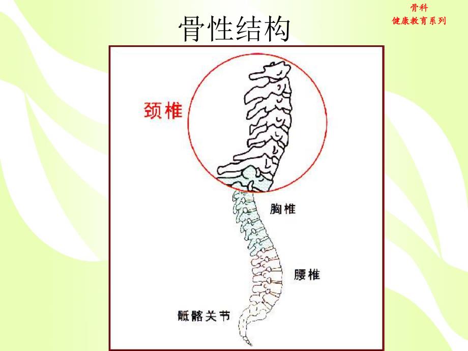 颈椎病健康教育.ppt_第3页