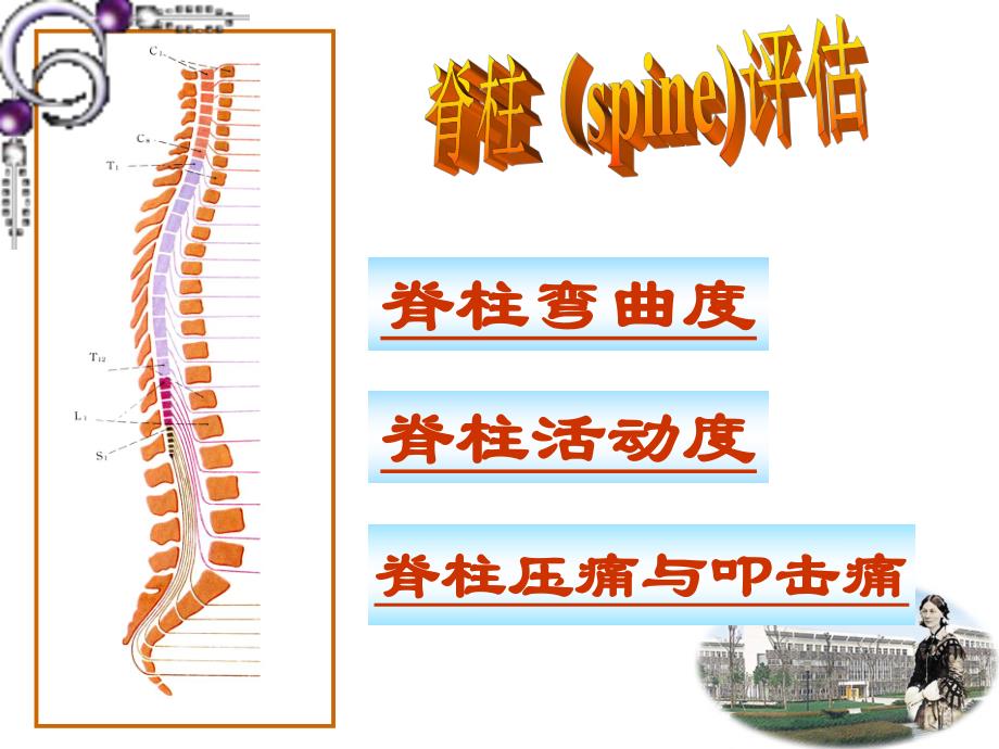 脊柱四肢、神经系统评估.ppt_第3页