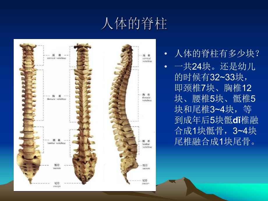 颈椎病的防治.ppt_第3页