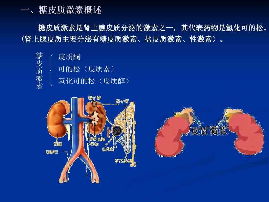 糖皮质激素的合成.ppt_第2页