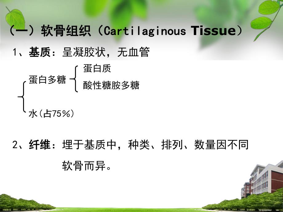 软骨组织胚胎学.ppt_第3页