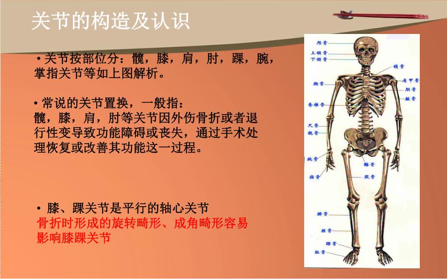 骨科植入物的分类及运用.ppt_第3页