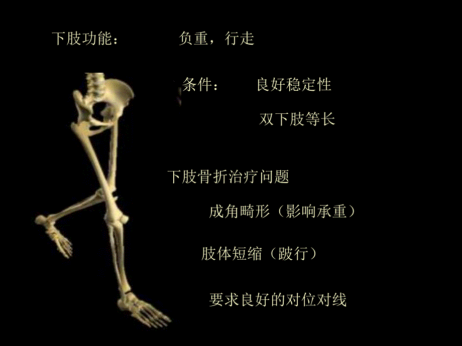 下肢骨折[精彩].ppt_第3页