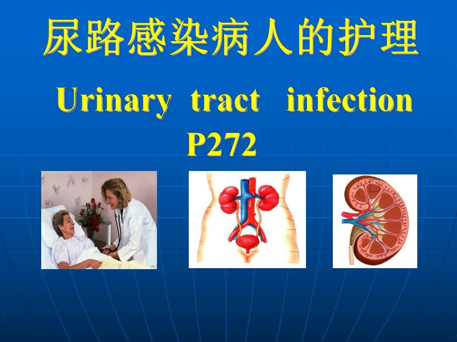 尿路感染病人的护理.ppt_第1页