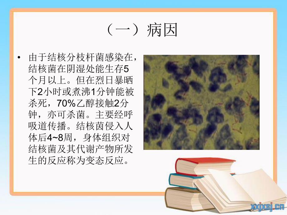 医院培训 结核病病人的护理.ppt_第3页