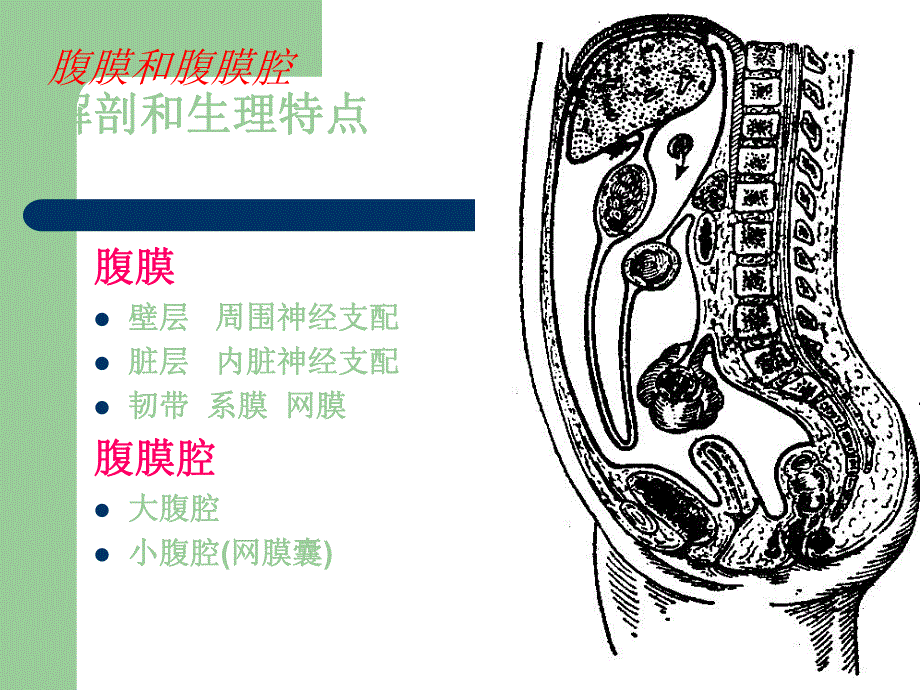 急性腹膜炎患者的护理.ppt_第3页